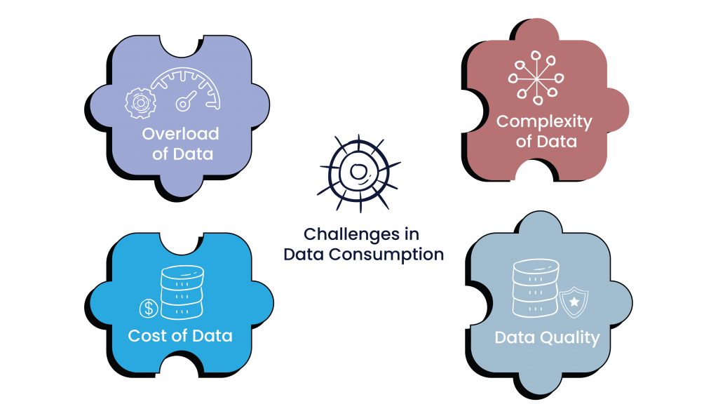 Challenges in Data Consumption
