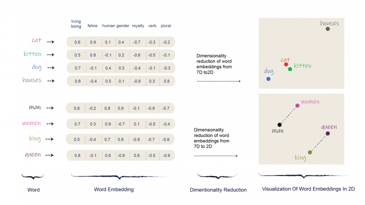 Word Vectorization 101: The Journey from Text to Numbers