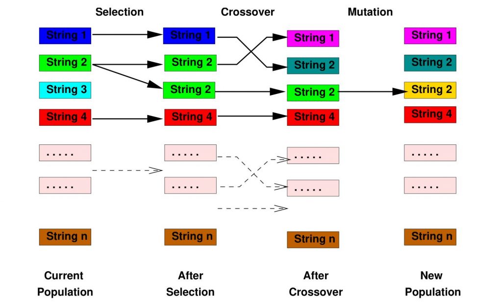 Fundamental Principles of Genetic AI Algorithms