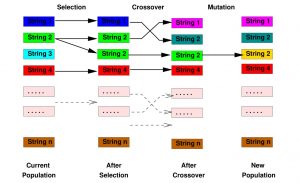 How Genetic Algorithms are Shaping AI and ML