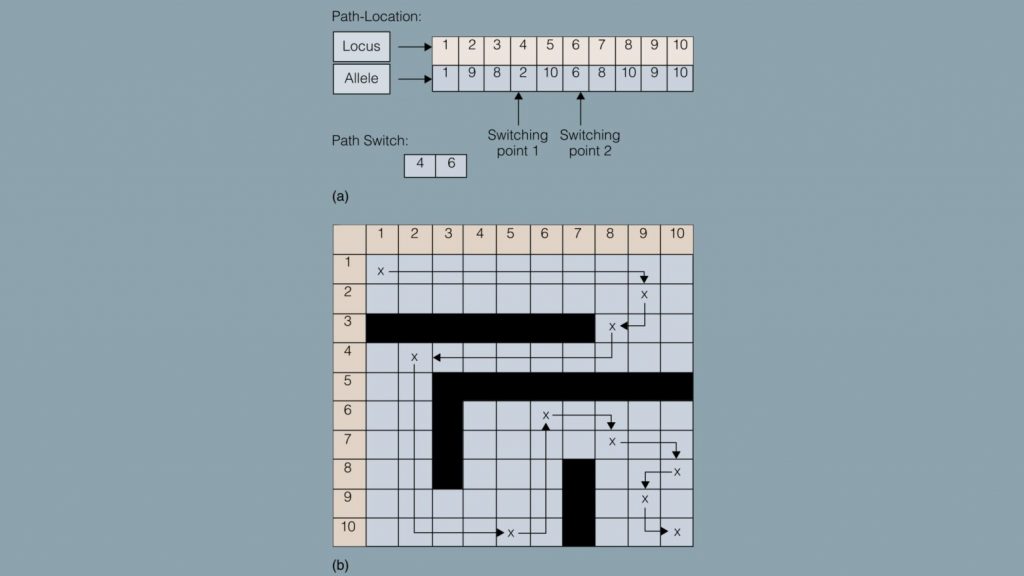 Robotic path switching