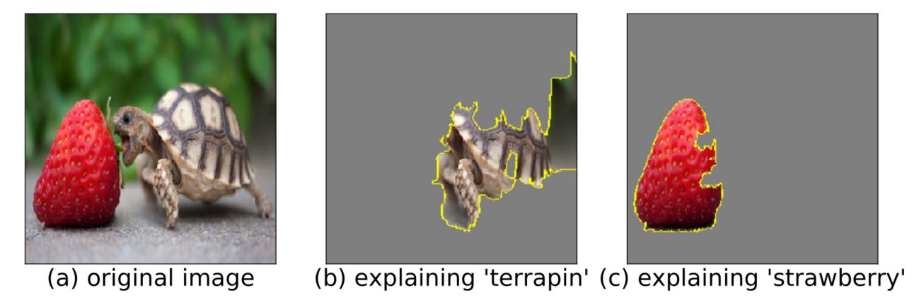 Lime Image Explanation Example Role of AI and ML in Asset Management: A Complete Guide