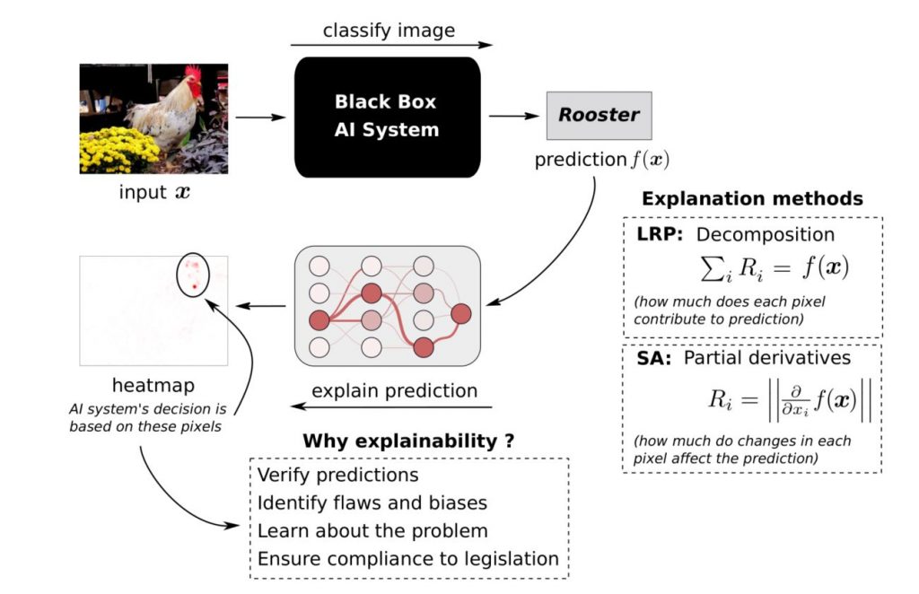 Visualization of AI Decision-Making Processes